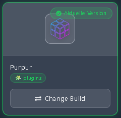 Screenshot 4: Wie man Plugins in Minecraft installiert